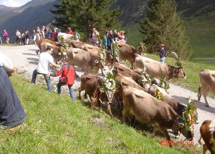 Bergheim Apartament Fuegenberg