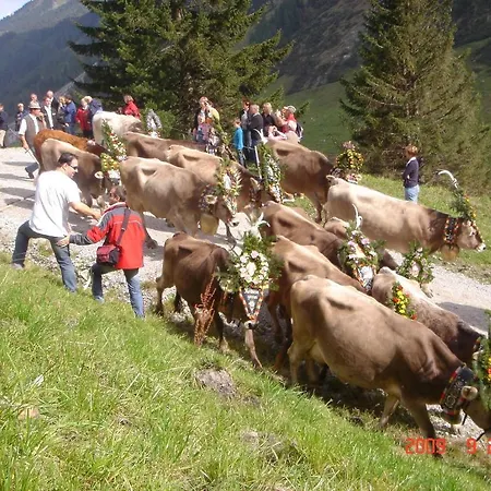 Bergheim Lägenhet Fuegenberg